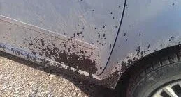 Arabadan Asfalt Lekesi Nasıl Çıkar