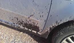 Arabadan Asfalt Lekesi Nasıl Çıkar