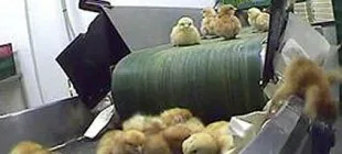 Bu Bilgileri Öğrendiğinize Pişman Olabilirsiniz