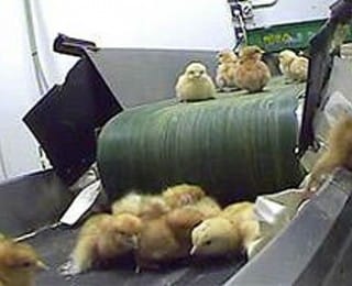 Bu Bilgileri Öğrendiğinize Pişman Olabilirsiniz