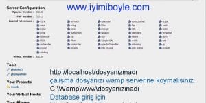 Localhost Nedir