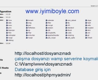 Localhost Nedir
