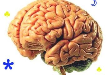 Ufkunuzu İki Katına Çıkaracak Bilgiler