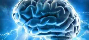 İnsan Beyni Hakkında 10 İlginç Bilgi