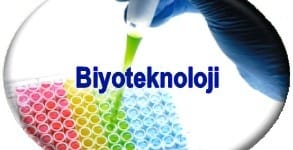 Genetik Mühendisliği ve Biyoteknoloji