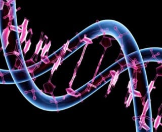 Kalıtım ile ilgili Tüm Kavramlar ve Kalıtsal Çaprazlamalar