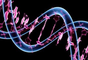 Kalıtım ile ilgili Tüm Kavramlar ve Kalıtsal Çaprazlamalar