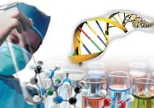 genetik-muh