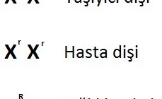Kalıtsal Hastalıklar