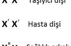 Kalıtsal Hastalıklar