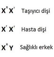 Kalıtsal Hastalıklar