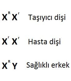 Kalıtsal Hastalıklar