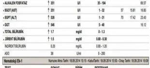 ALT Nedir ve Neden Yükselir