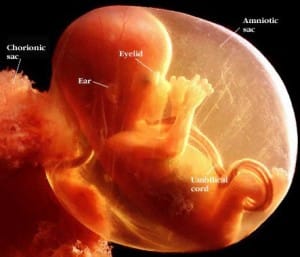 bebeklerde-super-duyma-gucu