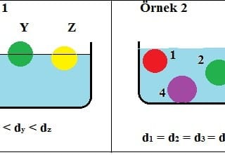 Bazı Cisimler Neden Yüzer?