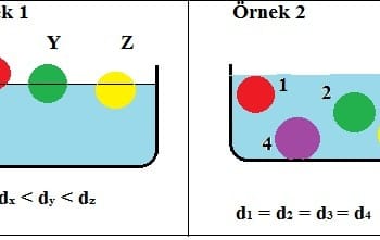 Bazı Cisimler Neden Yüzer?