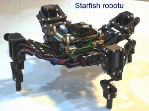 starfish-robotu