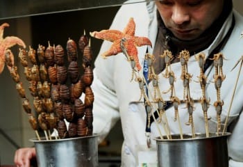 Afiyetle Yenilebilen Böcekler