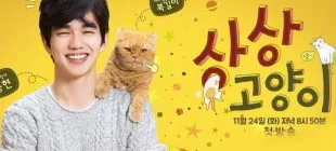 Imaginary Cat Kore Dizisi