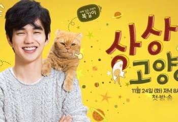 Imaginary Cat Kore Dizisi