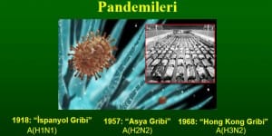 En Ölümcül Salgın Hastalıklardan Biri Olan İspanyol Gribi
