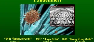 En Ölümcül Salgın Hastalıklardan Biri Olan İspanyol Gribi