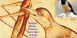 Anadolu ve Osmanlı’da Çekirge ve Böcek İstilaları