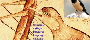 Anadolu ve Osmanlı’da Çekirge ve Böcek İstilaları