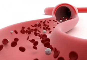 PLT Nedir ve Neden Yükselir