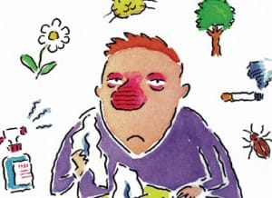 Anaflaktik-sok-sebepleri