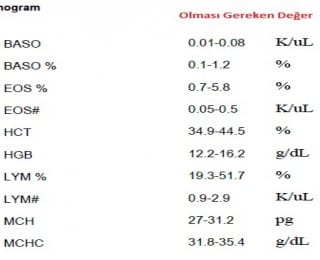 MCH nedir? Neden Yükselir