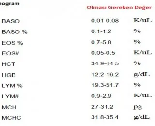 MCH nedir? Neden Yükselir