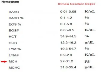 MCH nedir? Neden Yükselir
