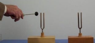 Sesin Rezonansı, Sesin Yansıması ve Soğurulması