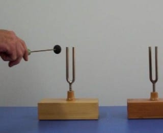 Sesin Rezonansı, Sesin Yansıması ve Soğurulması