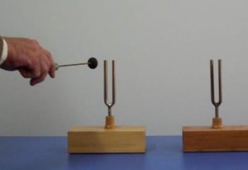 Sesin Rezonansı, Sesin Yansıması ve Soğurulması