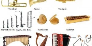 Müzik ve Fen