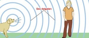 ses-dalgalarinin-yayimasi