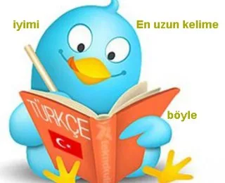 Türkçe Hakkında İlginç Bilgiler