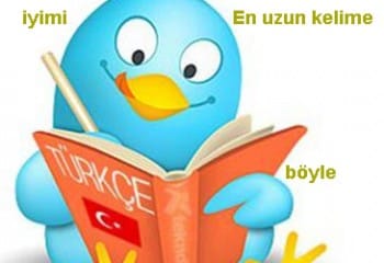 Türkçe Hakkında İlginç Bilgiler