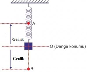 yayli-sarkac-salinim