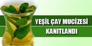Yeşil Çayın Faydaları