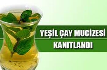 Yeşil Çayın Faydaları