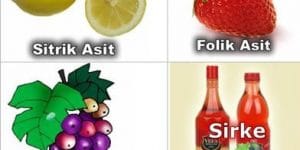 Asitler ve Bazların Kullanım Alanları
