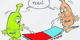 Asitler, Bazlar ve Tuzların Özellikleri