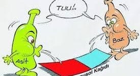 Asitler, Bazlar ve Tuzların Özellikleri