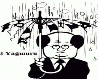 Asit Yağmurları ve Çevreye Etkileri