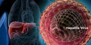 HEPATİT-B Taşıyıcılığı Nedir
