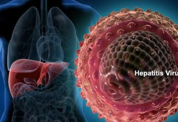 HEPATİT-B Taşıyıcılığı Nedir
