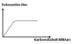 karbondioksit-miktari